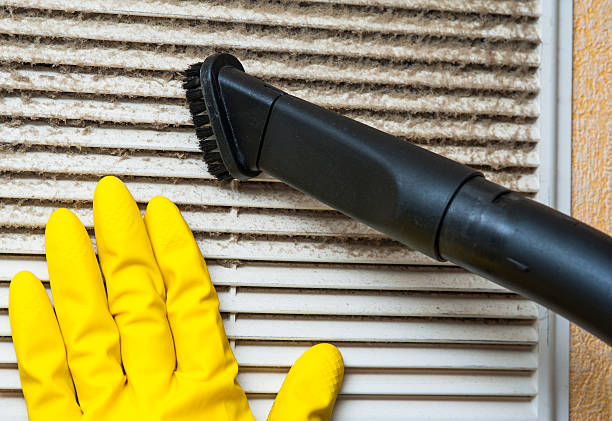 Best Affordable Duct Cleaning Services  in Port Labelle, FL